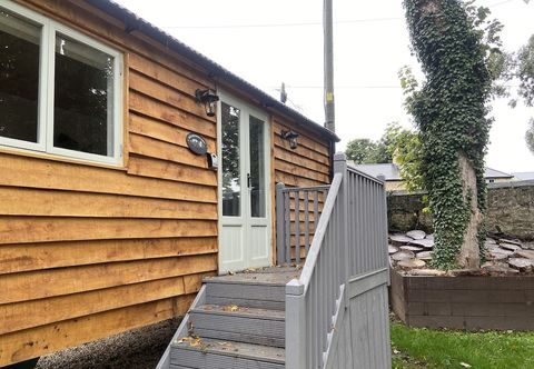 Khác Red Squirrels Drey