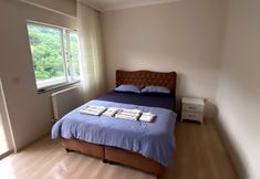 Others 5 Kasustu Home