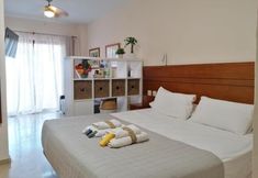 Others 4 CN-340 Suites