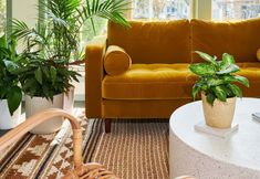 其他 7 Greenporter Hotel