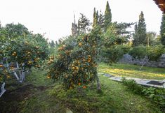 その他 5 Invigorating Home Surrounded by Nature in Gumusluk