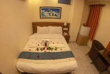 其他 Hotel Himalayan Ashoka