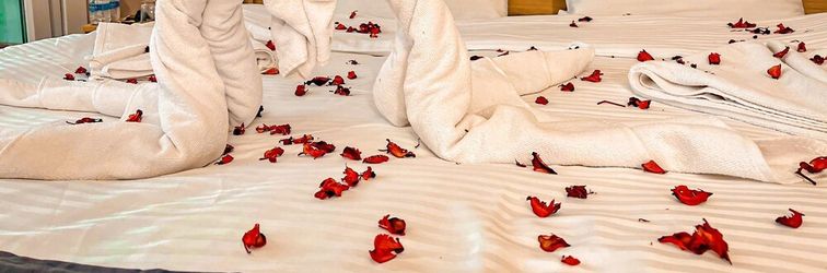 Others Life Artemis Otel