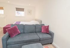 Others 3 Cherry Studio