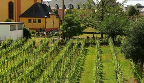 Others 3 Chic Holiday Flat in Trittenheim Between Vineyards