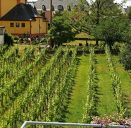 อื่นๆ 3 Chic Holiday Flat in Trittenheim Between Vineyards