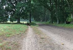 Others 4 Spacious Holiday Home in Wolin With Garden