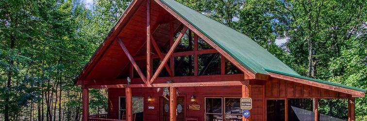 其他 Wild Things-perfect Location! Adjacent To Pigeon Forge, Gatlinburg & The National Park 1 Bedroom Cabin by RedAwning