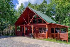 其他 Wild Things-perfect Location! Adjacent To Pigeon Forge, Gatlinburg & The National Park 1 Bedroom Cabin by RedAwning