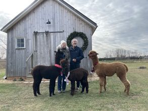 その他 4 The Farmhouse Bed and Breakfast