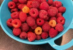 その他 3 The Farmhouse Bed and Breakfast