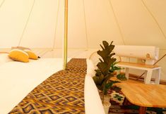 Others 7 The Wild Khao Yai - Glamping