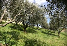 Others 4 Historic Farmhouse With Private spa in Senigallia few Minutes From the Beach 4p