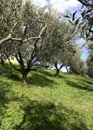 Garden Historic Farmhouse With Private spa in Senigallia few Minutes From the Beach 4p