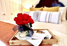 기타 7 Settlers Suites