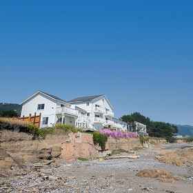 Primary image1Black Sands Inn,洪堡县飯店