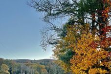 其他 The Haüs Windham