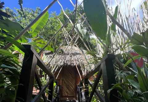 Lainnya Sámana tropical