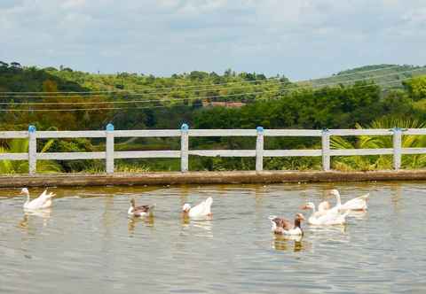 อื่นๆ Viver Mais Hotel Fazenda