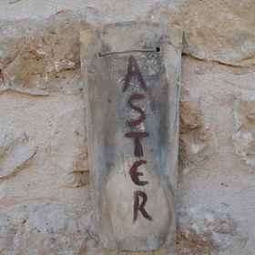 Room 1 Two Bedroom Villa - Aster, Archaeological Museum of Chora Hotels