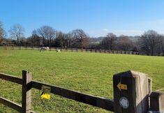 Lain-lain 7 Rainbow View
