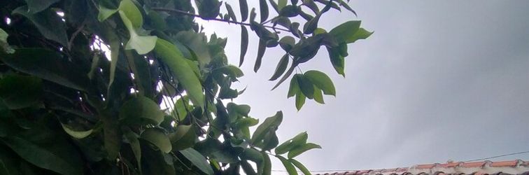 Others Ijen Basecamp