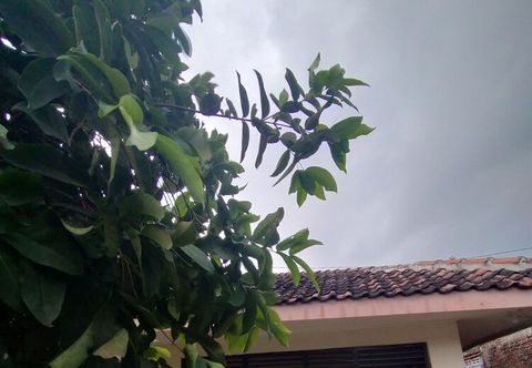 Others Ijen Basecamp