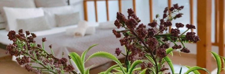 Lainnya Ground Floor Mini apt