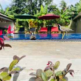 Primary image1The Kingslayer Resort,D PLUS Resort Negombo飯店