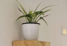 其他 6 Happy Island Inn