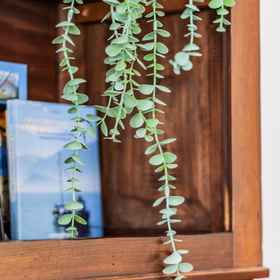 Room1義大利 Villa Gard by Wonderful Italy,Barni別墅