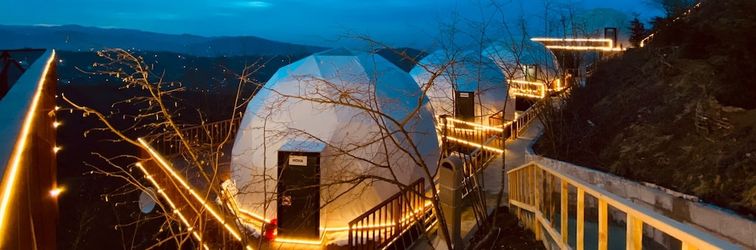 อื่นๆ Zedome Panorama