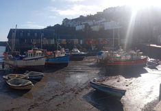 Others 6 Cozy Courtyard Apt, Explore & Relax, Free Parking