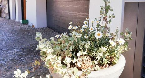 Others 2 Sunny Apartment in Wagrain