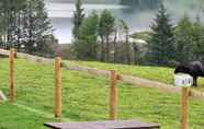 Others 7 Forester's Retreat Glamping - Cambrian Mountains