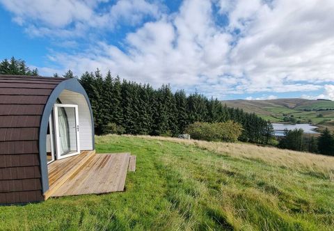 其他 Forester's Retreat Glamping - Dinas View
