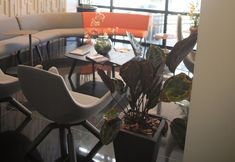 其他 5 Hotel Black Inn Flamboyant