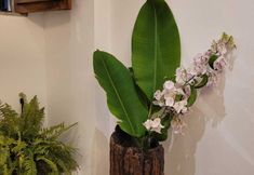 その他 2 Pelourinho Boutique Hotel - OH HOTÉIS