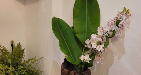 その他 2 Pelourinho Boutique Hotel - OH HOTÉIS