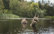 Khác 7 Mushroom Yurt set in 4 Acres of Woodland and Lakes