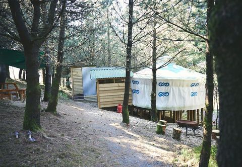 Others Mushroom Yurt set in 4 Acres of Woodland and Lakes