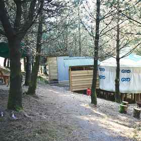Primary image 1 Mushroom Yurt set in 4 Acres of Woodland and Lakes, Llanllwchaiarn Hotels