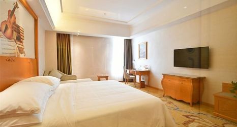 Others 2 Vienna Hotel (Xiangtan Bantang Bubugao Branch)