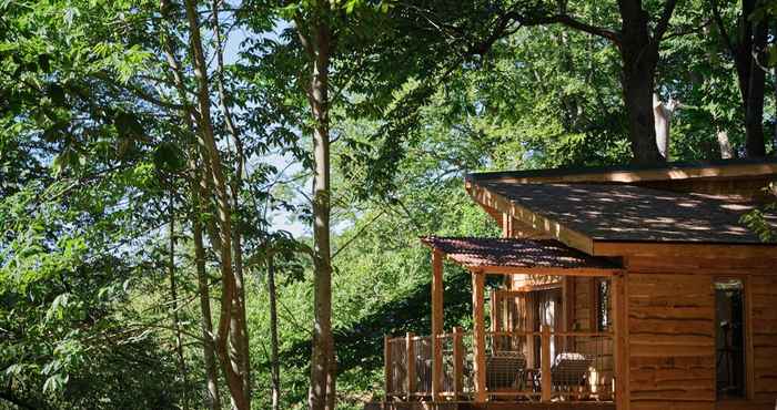 Others Tree House Retreats