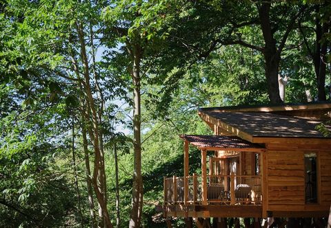 Others Tree House Retreats