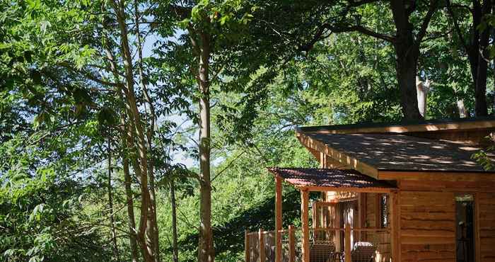 Lainnya Tree House Retreats