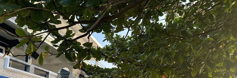 Others Emmalyn's Paradise Resort