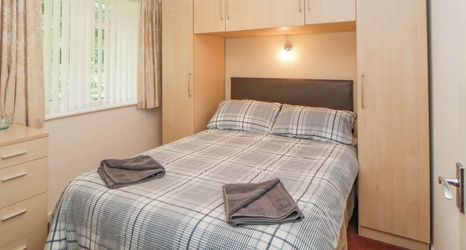 Lain-lain 2 Sycamores