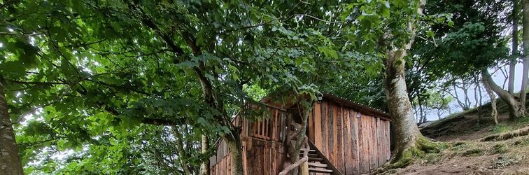 Others Tree House