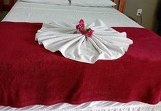 Others 7 Hostel Pousada Flor de Paris